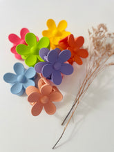 Load image into Gallery viewer, Claw clips